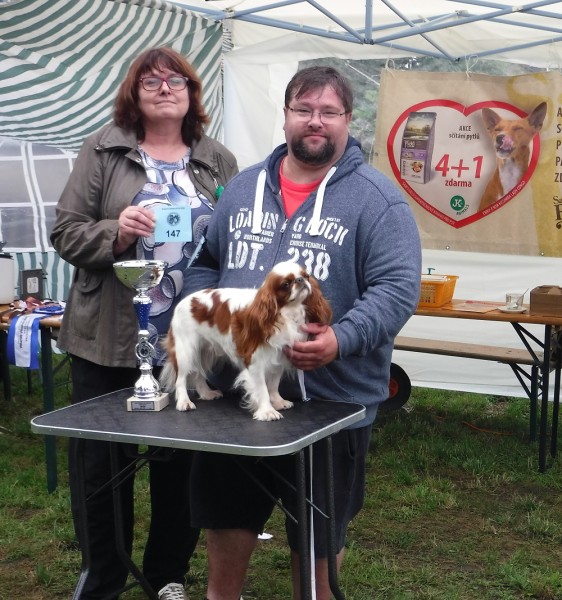 KV 2020-I, 11.7.2020, Městec Králové